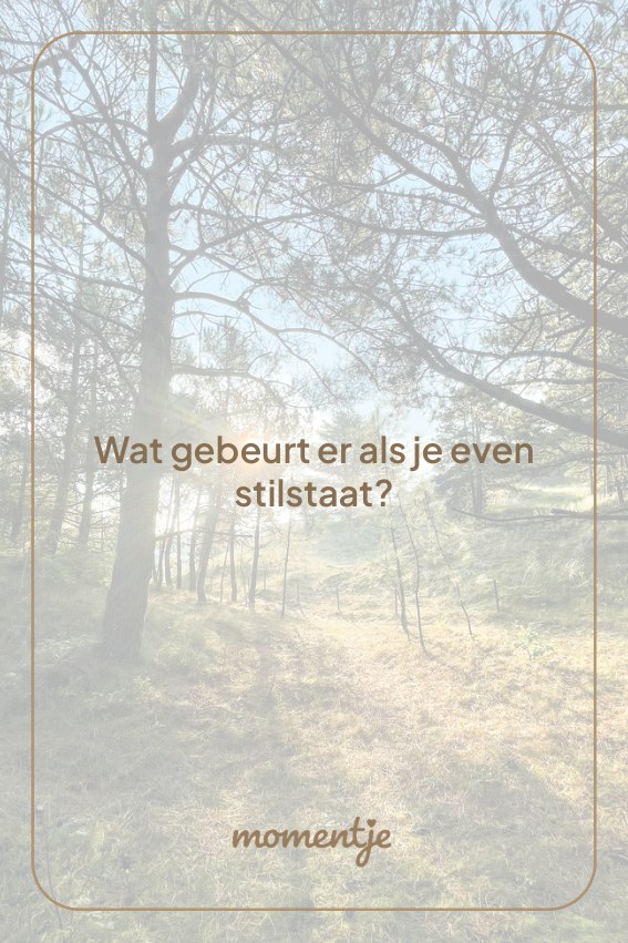 Kaart: Wat gebeurt er als je even stilstaat?